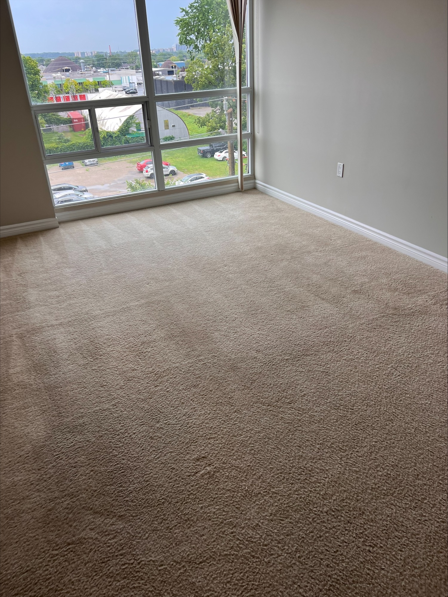 carpet cleaning london ontario